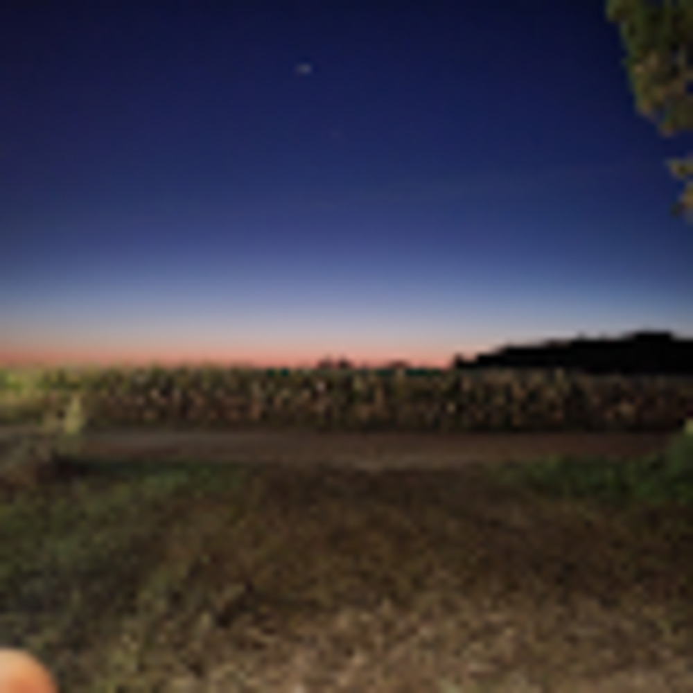 Meet your Posher, Mary